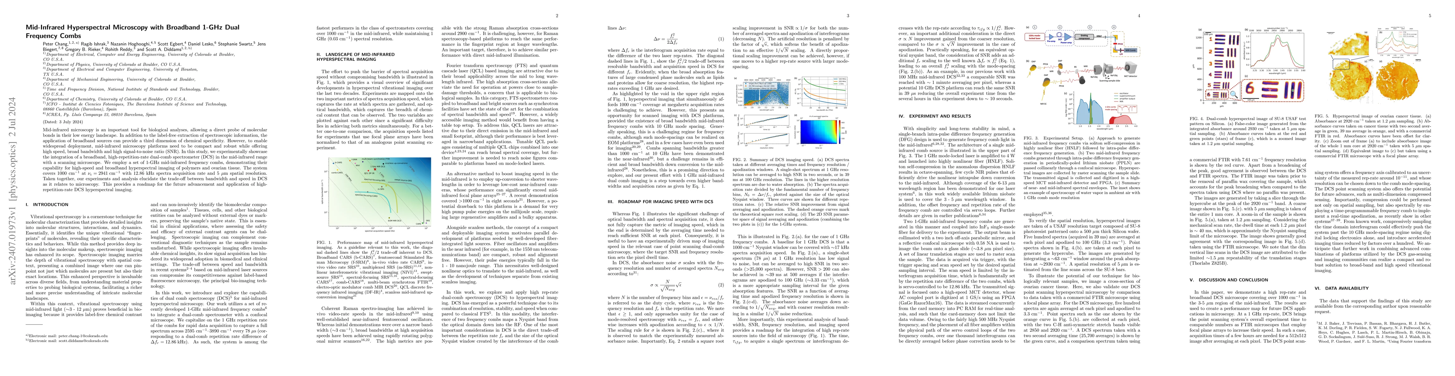 Thumbnail for Mid-Infrared Hyperspectral Microscopy with Broadband 1-GHz Dual
  Frequency Combs