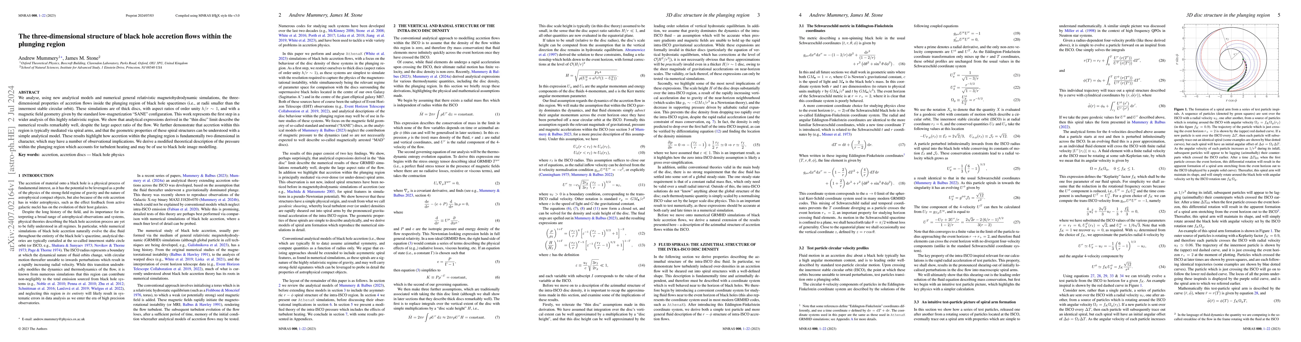 Thumbnail for The three-dimensional structure of black hole accretion flows within the
  plunging region