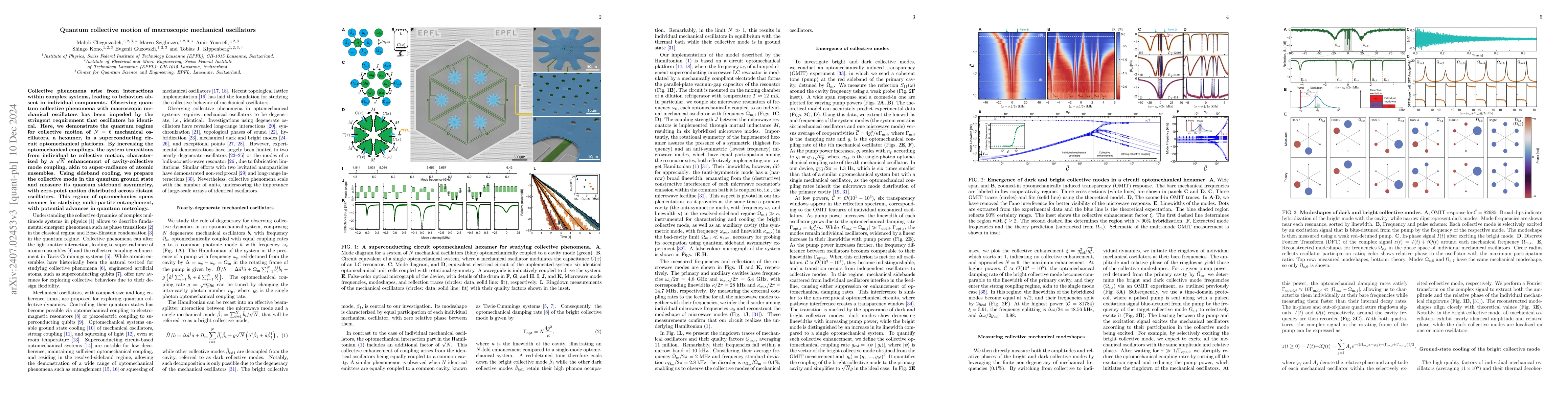 Thumbnail for Quantum collective motion of macroscopic mechanical oscillators
