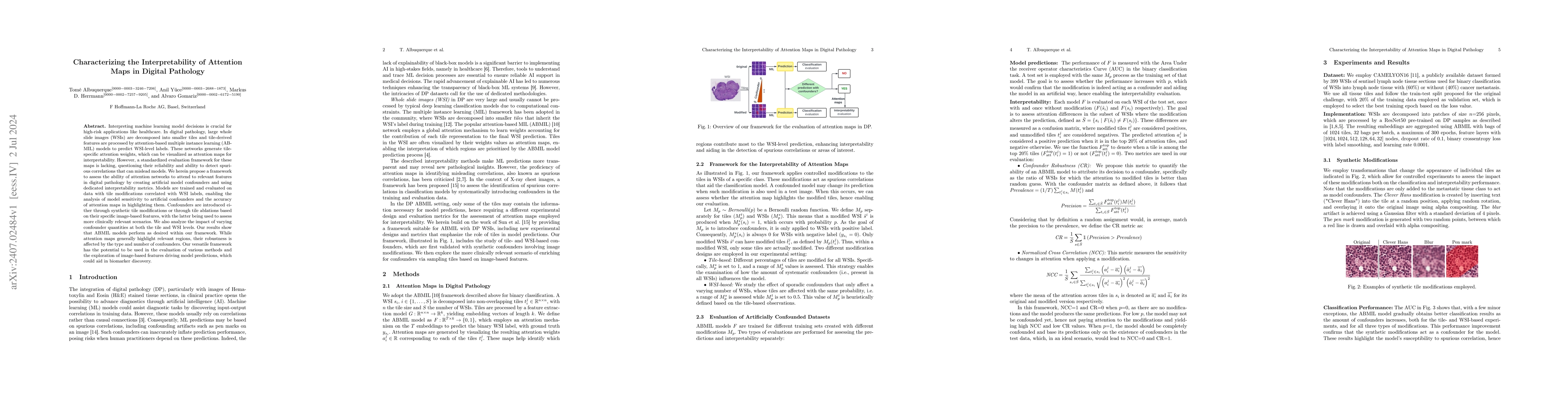 Thumbnail for Characterizing the Interpretability of Attention Maps in Digital
  Pathology
