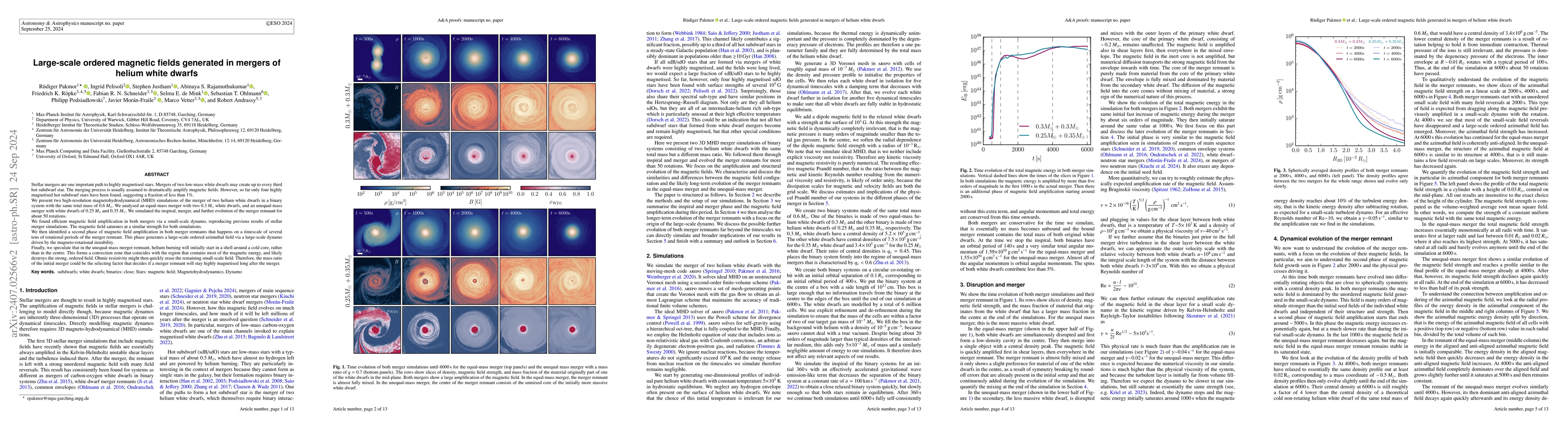 Thumbnail for Large-scale ordered magnetic fields generated in mergers of helium white
  dwarfs