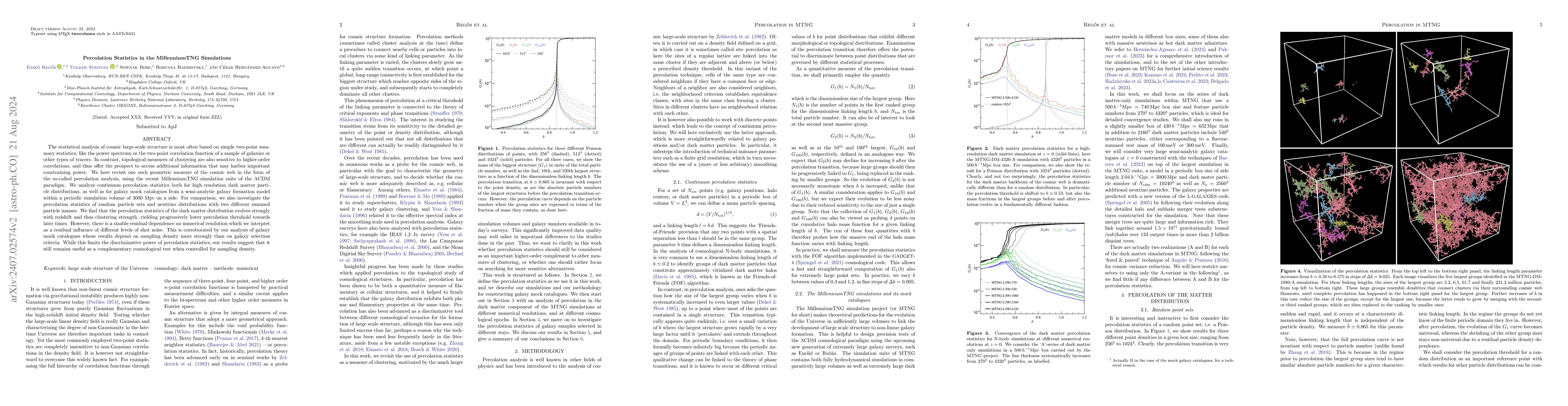 Thumbnail for Percolation Statistics in the MillenniumTNG Simulations