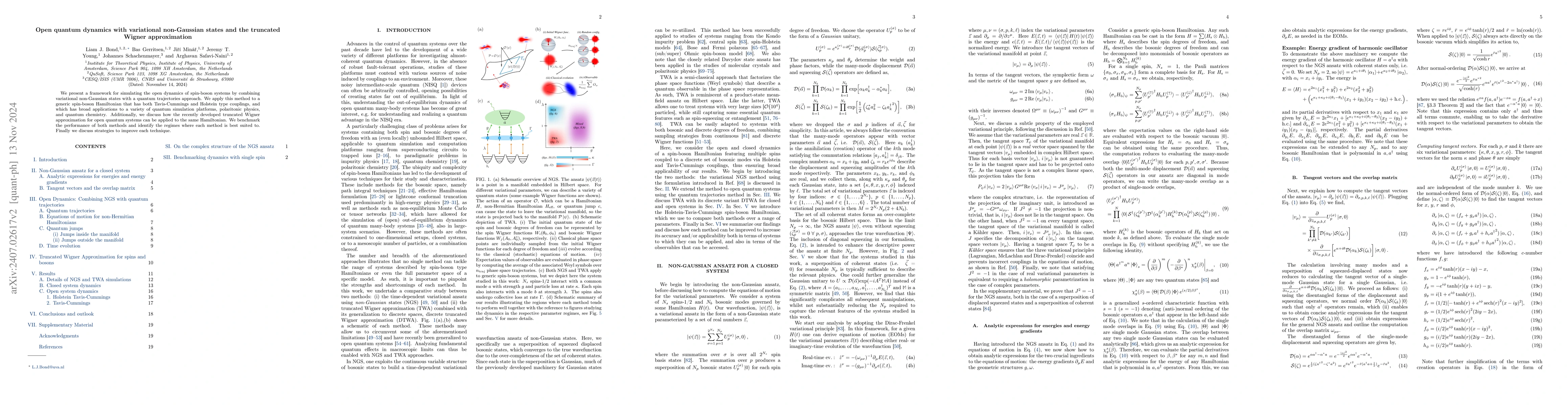 Thumbnail for Open quantum dynamics with variational non-Gaussian states and the
  truncated Wigner approximation