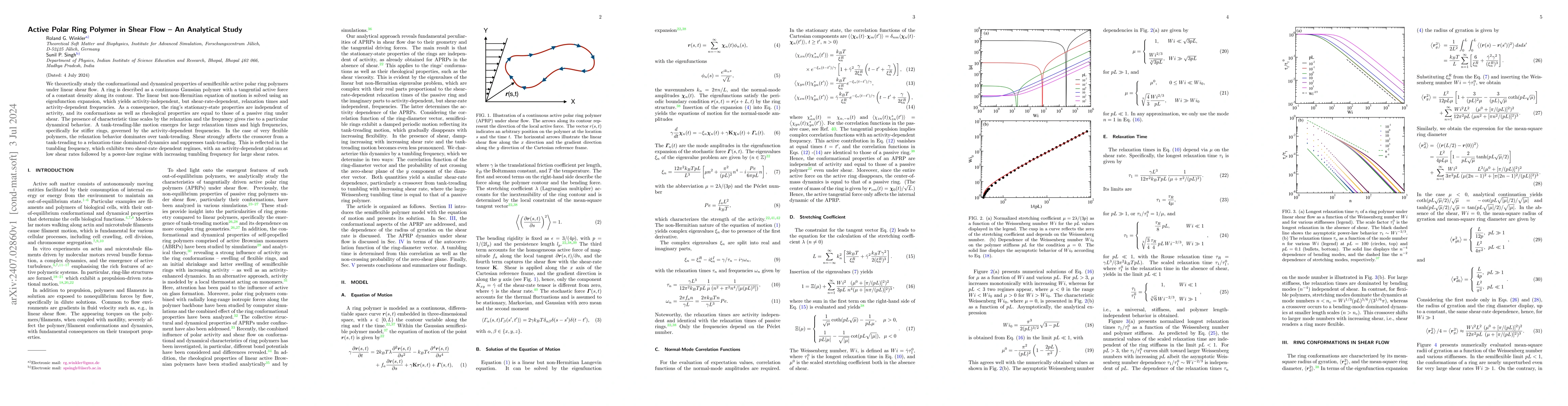 Thumbnail for Active Polar Ring Polymer in Shear Flow -- An Analytical Study