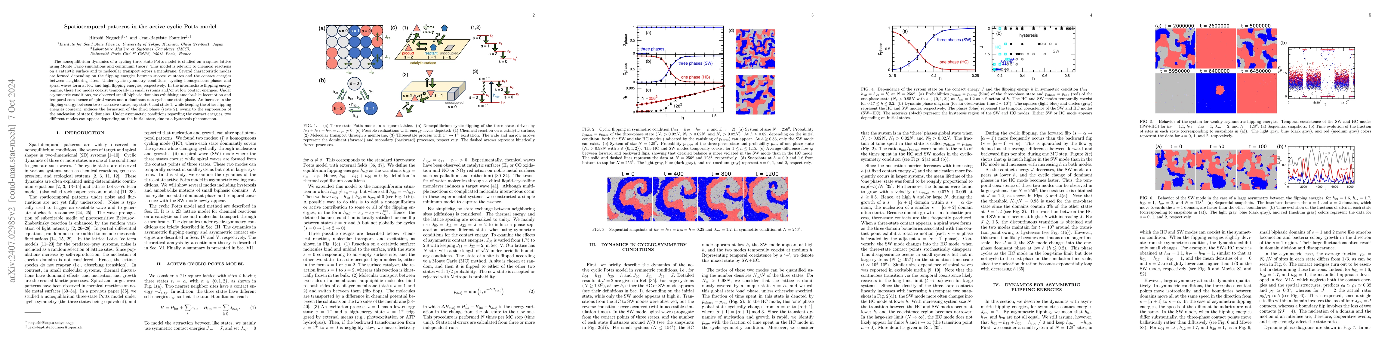Thumbnail for Spatiotemporal patterns in the active cyclic Potts model