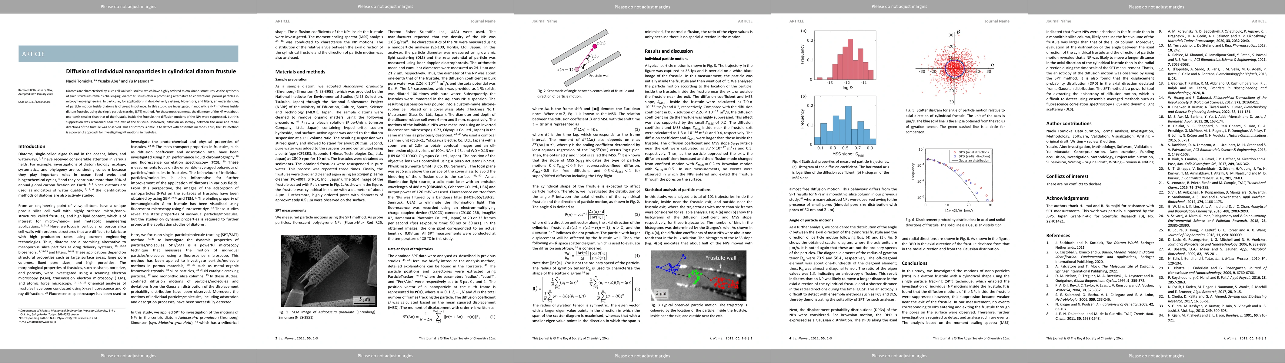 Thumbnail for Diffusion of individual nanoparticles in cylindrical diatom frustule