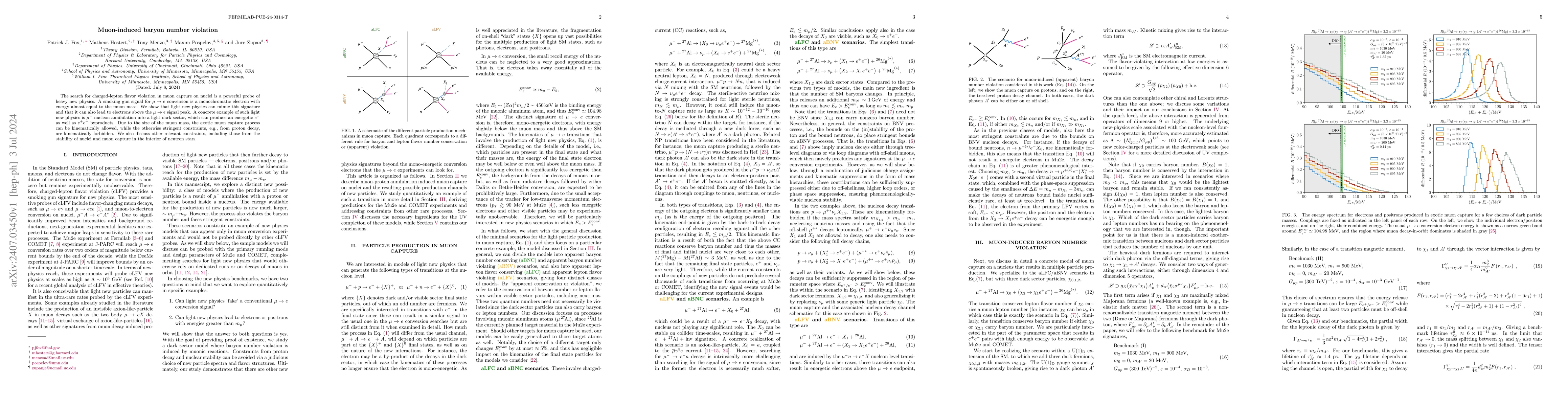Thumbnail for Muon-induced baryon number violation