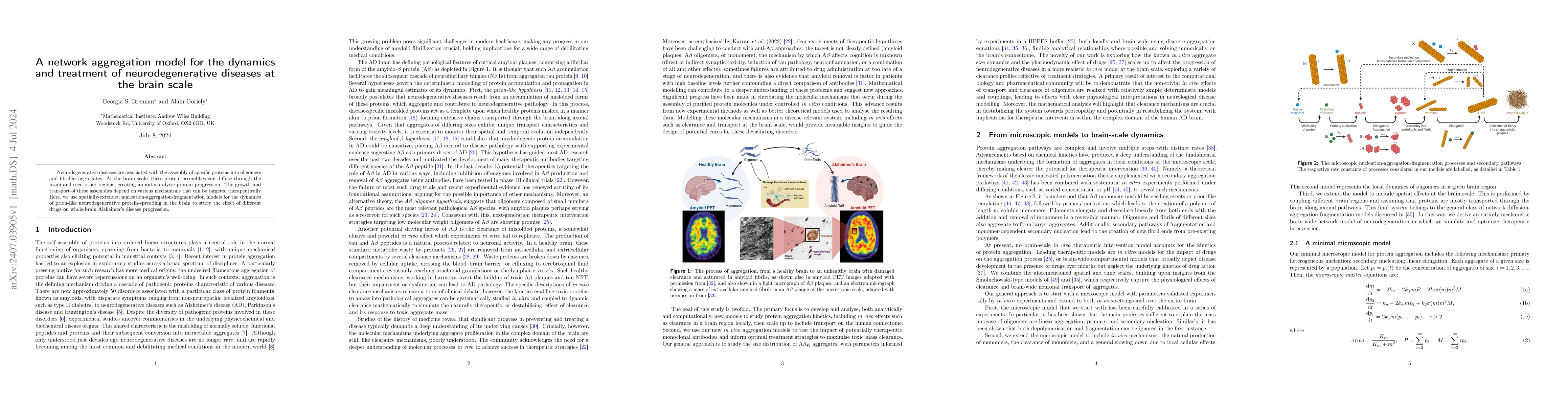 Thumbnail for A network aggregation model for the dynamics and treatment of
  neurodegenerative diseases at the brain scale