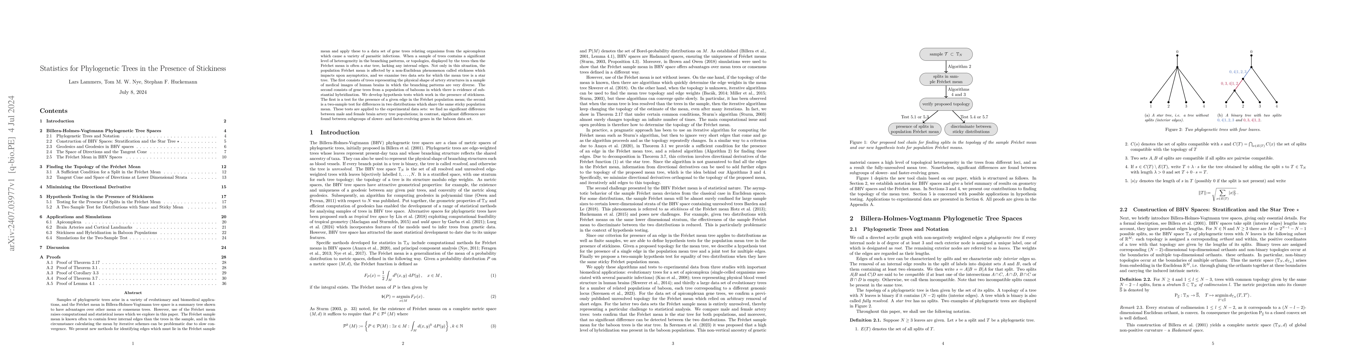 Thumbnail for Statistics for Phylogenetic Trees in the Presence of Stickiness