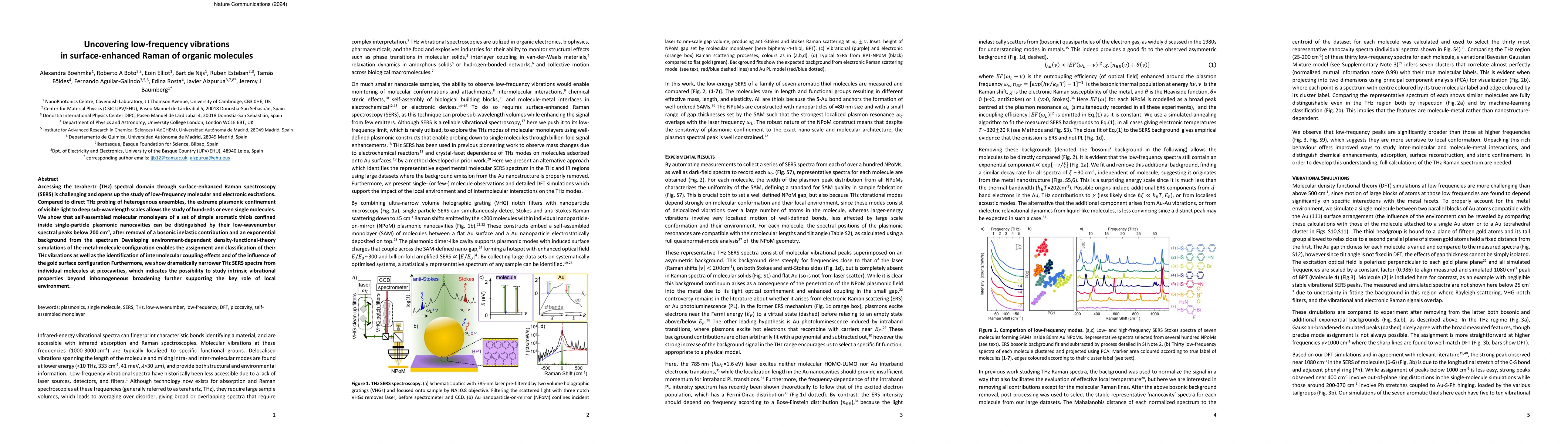 Thumbnail for Uncovering low-frequency vibrations in surface-enhanced Raman of organic
  molecules