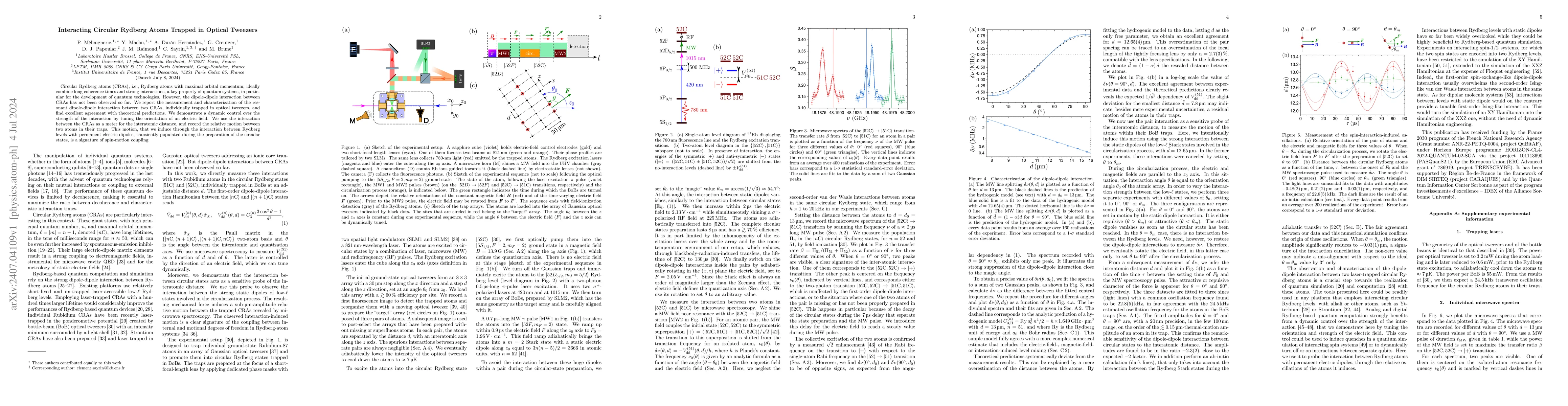 Thumbnail for Interacting Circular Rydberg Atoms Trapped in Optical Tweezers