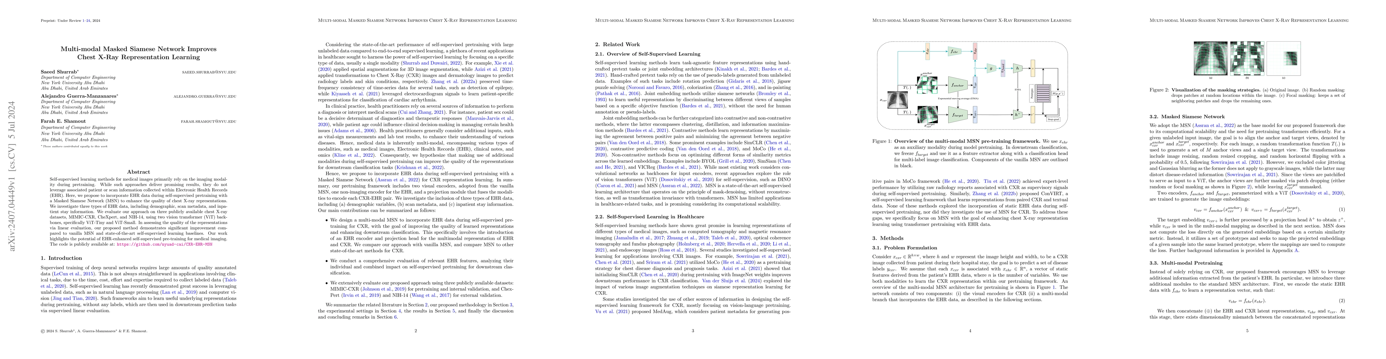 Thumbnail for Multi-modal Masked Siamese Network Improves Chest X-Ray Representation
  Learning