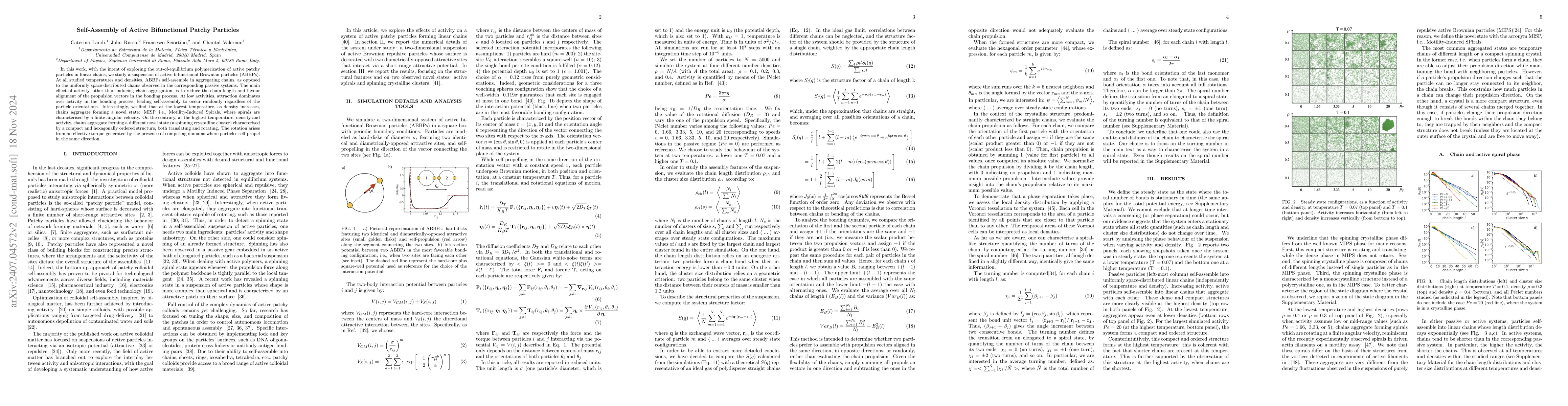 Thumbnail for Self-Assembly of Active Bivalent Patchy Particles