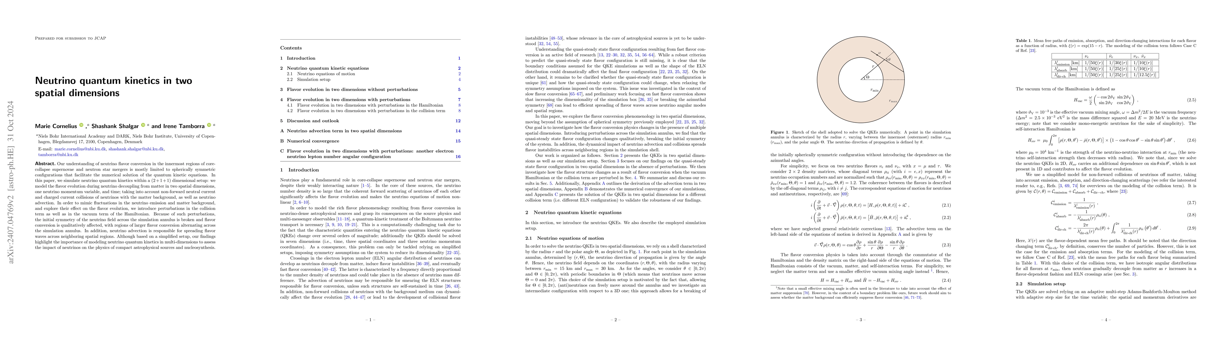 Thumbnail for Neutrino quantum kinetics in two spatial dimensions