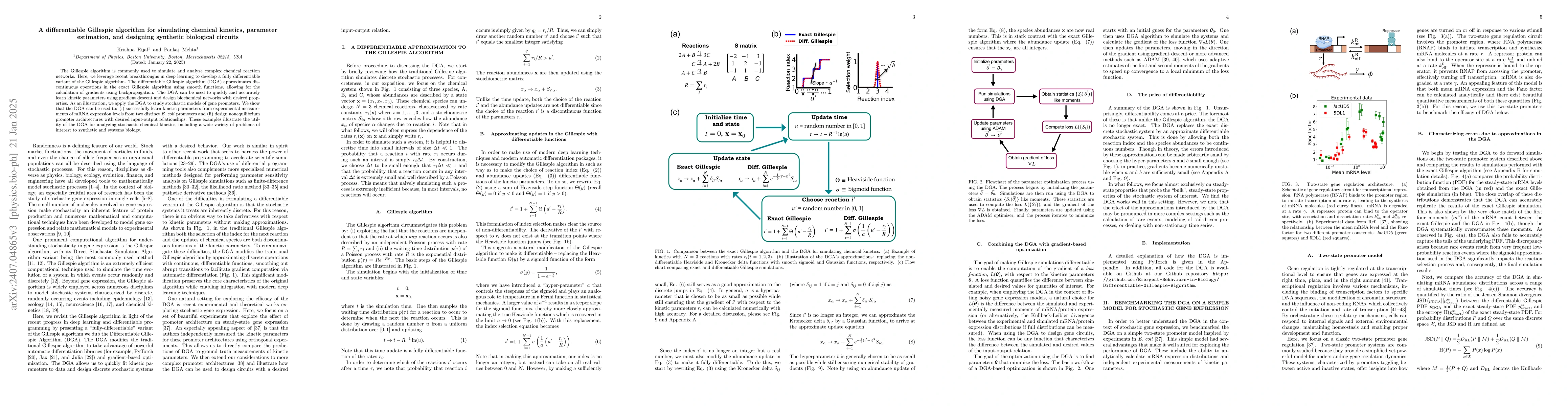 Thumbnail for A differentiable Gillespie algorithm for simulating chemical kinetics,
  parameter estimation, and designing synthetic biological circuits