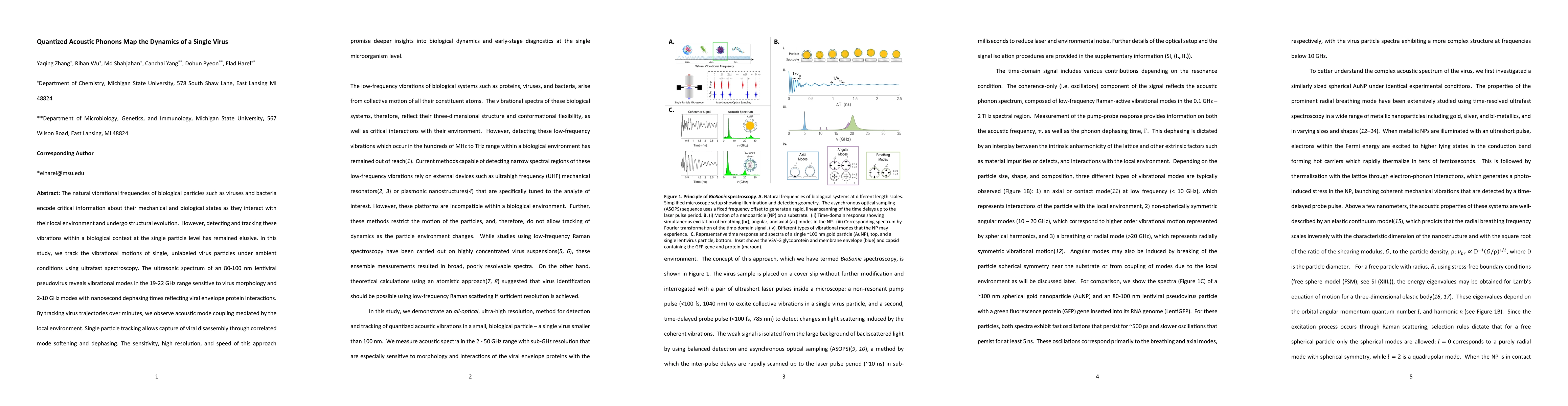 Thumbnail for Quantized Acoustic Phonons Map the Dynamics of a Single Virus