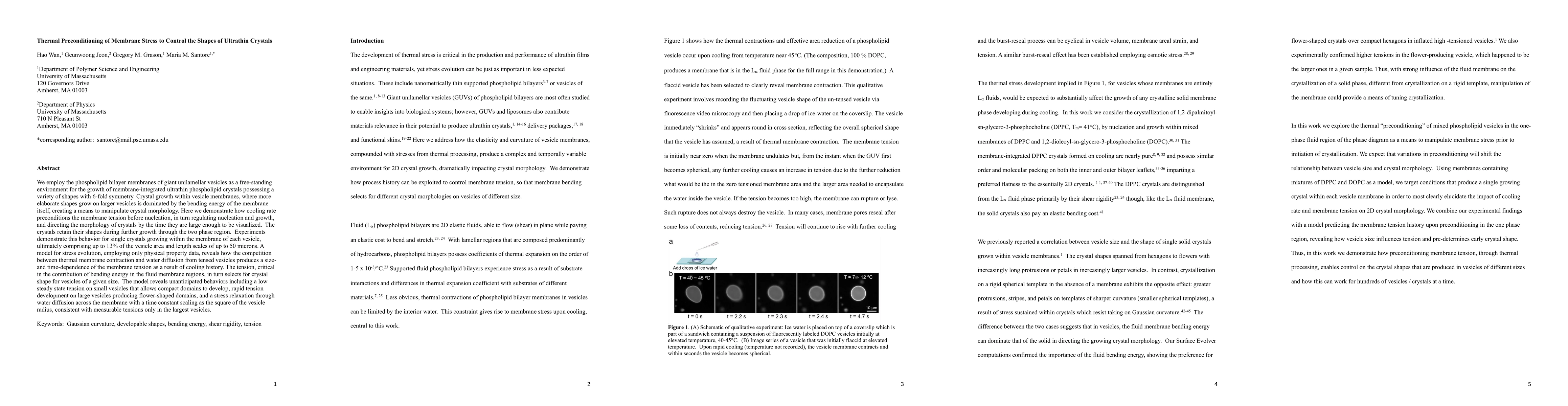 Thumbnail for Thermal Preconditioning of Membrane Stress to Control the Shapes of
  Ultrathin Crystals