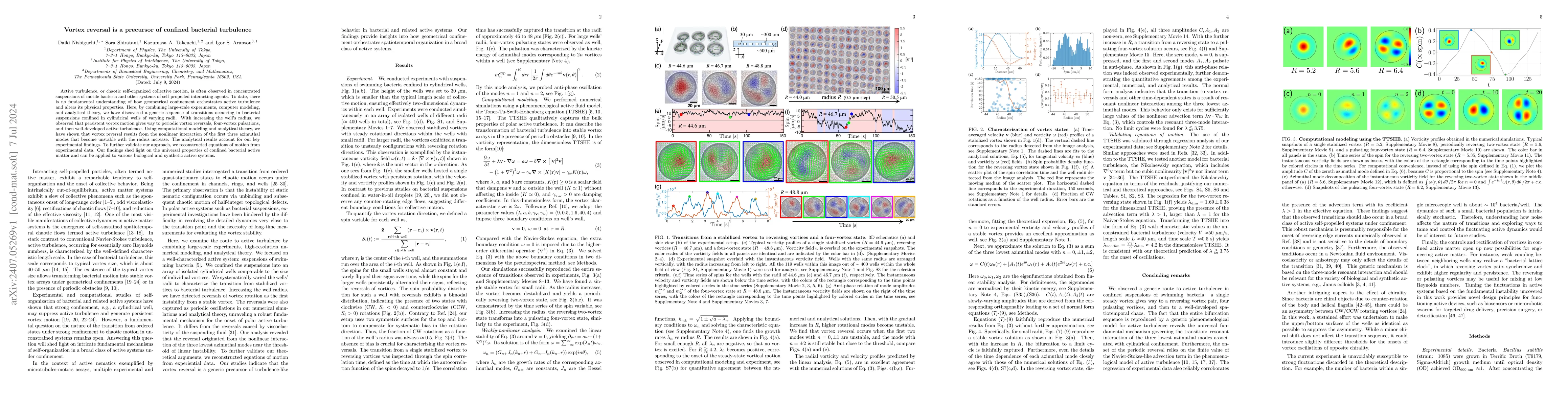 Thumbnail for Vortex reversal is a precursor of confined bacterial turbulence