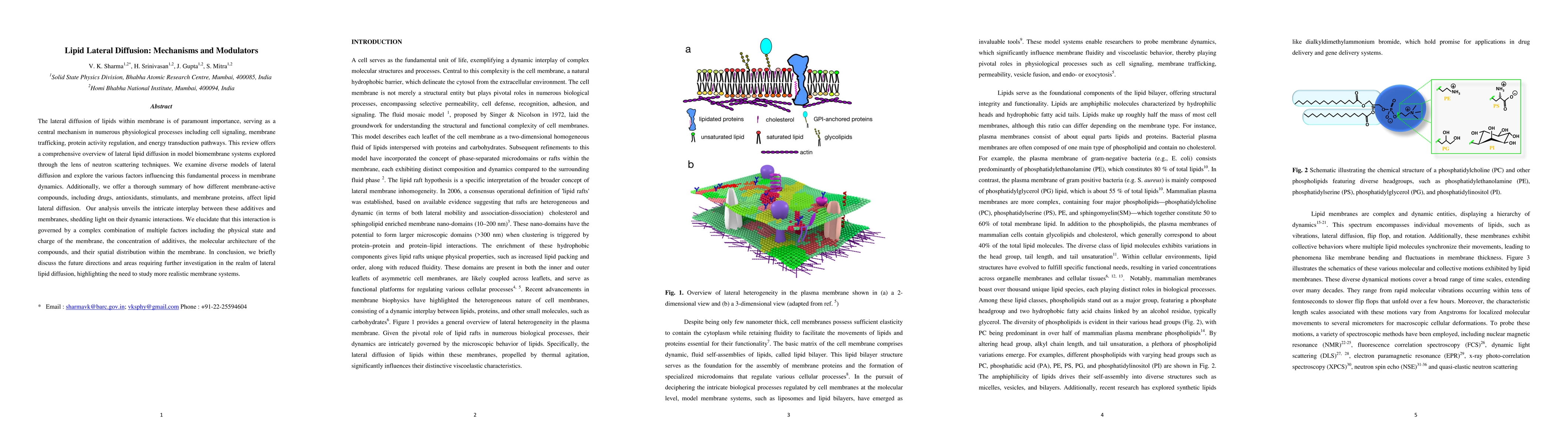Thumbnail for Lipid Lateral Diffusion: Mechanisms and Modulators