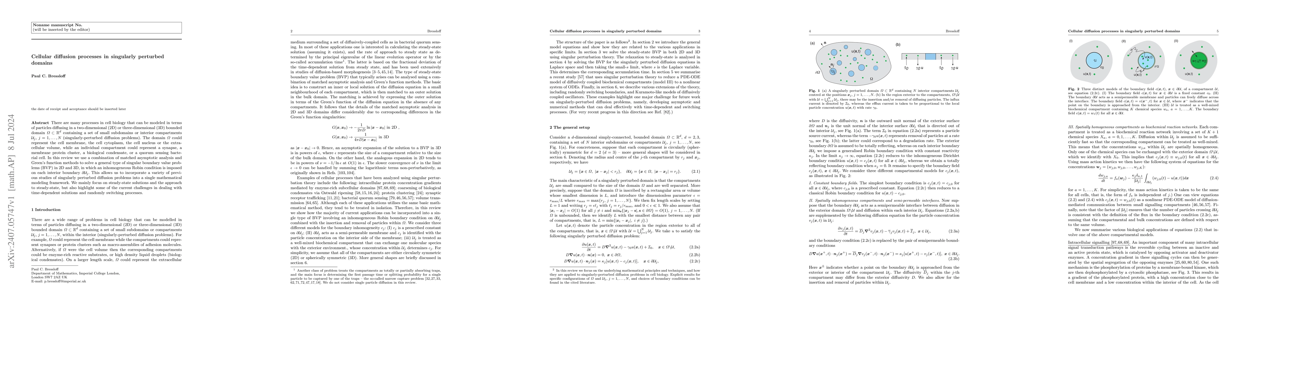 Thumbnail for Cellular diffusion processes in singularly perturbed domains