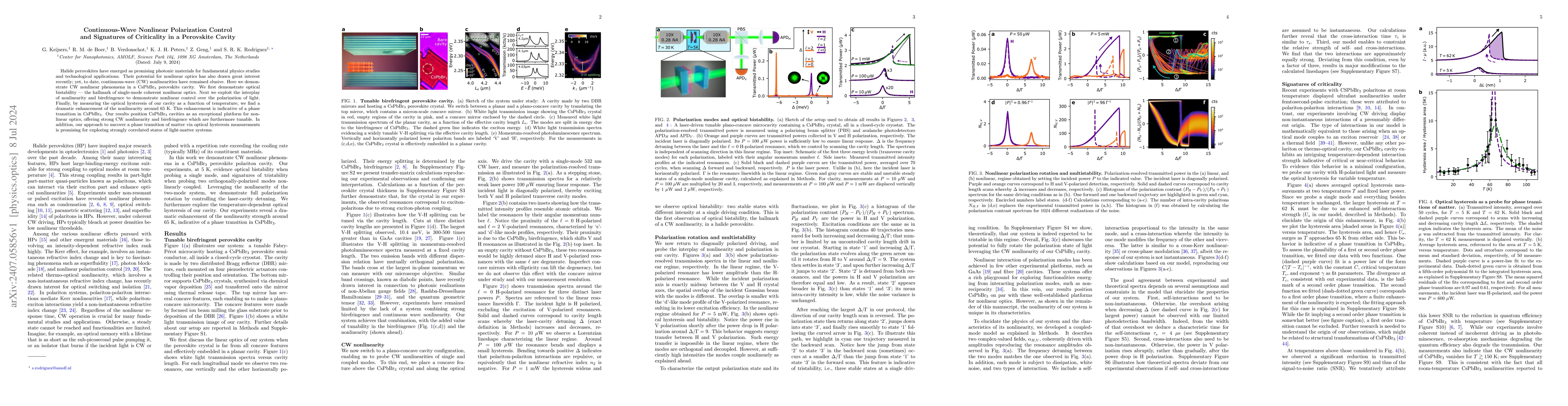 Thumbnail for Continuous-Wave Nonlinear Polarization Control and Signatures of
  Criticality in a Perovskite Cavity