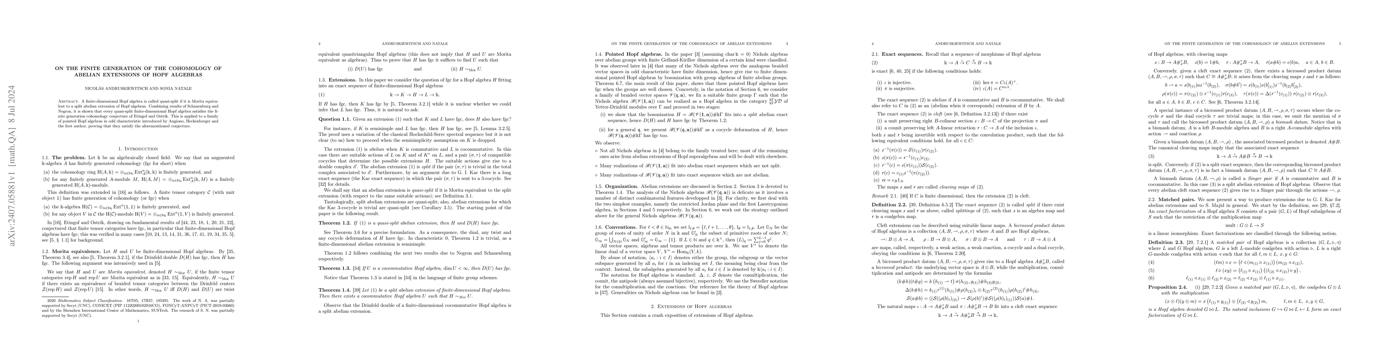 Thumbnail for On the finite generation of the cohomology of abelian extensions of Hopf
  algebras
