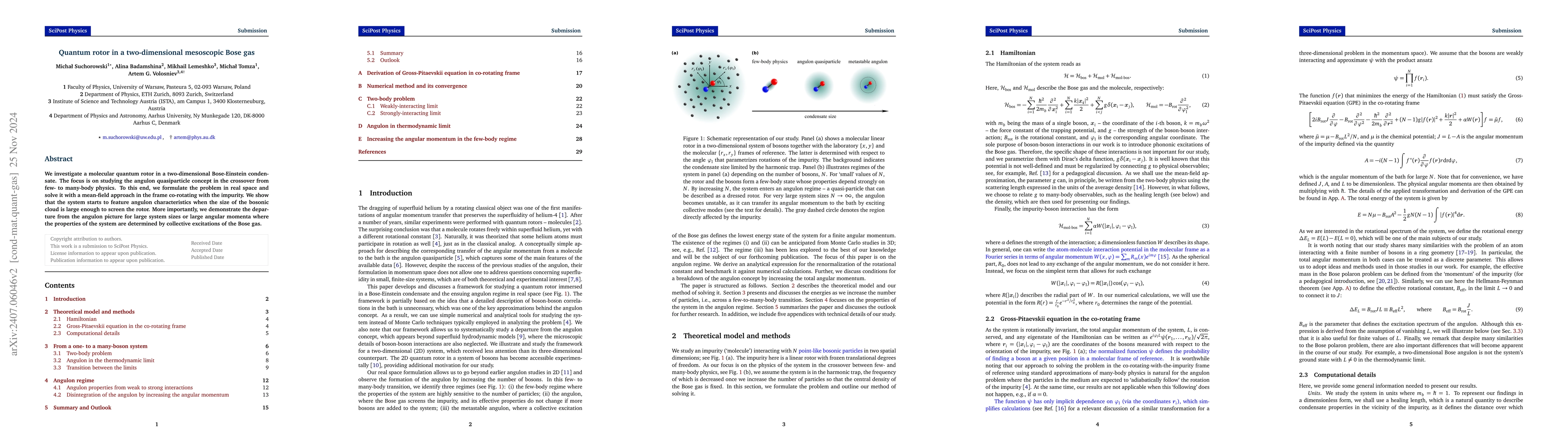 Thumbnail for Quantum rotor in a two-dimensional mesoscopic Bose gas