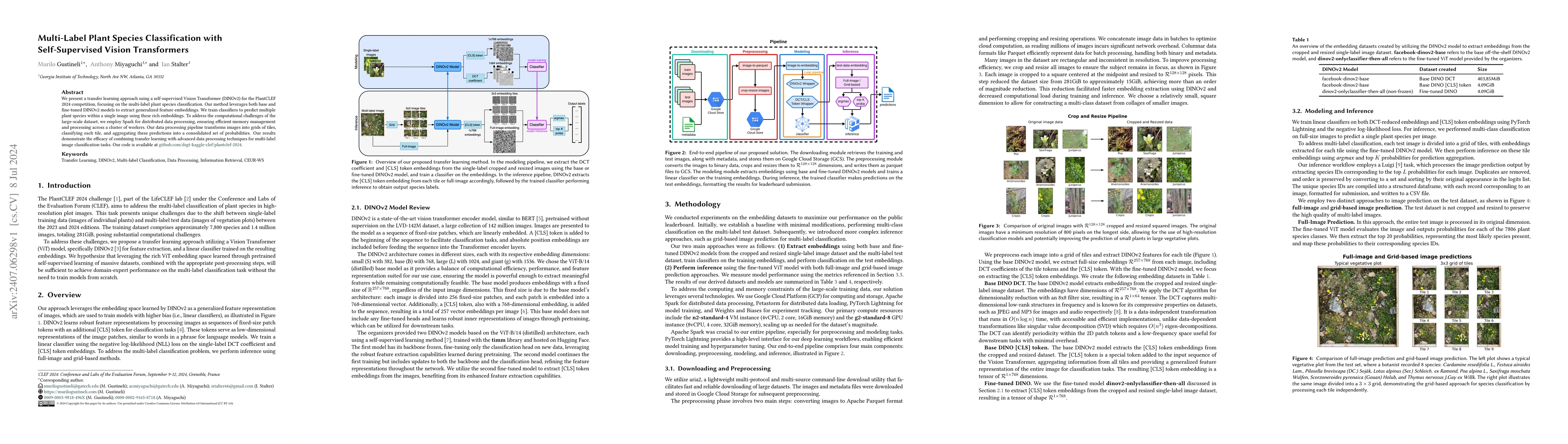 Thumbnail for Multi-Label Plant Species Classification with Self-Supervised Vision
  Transformers