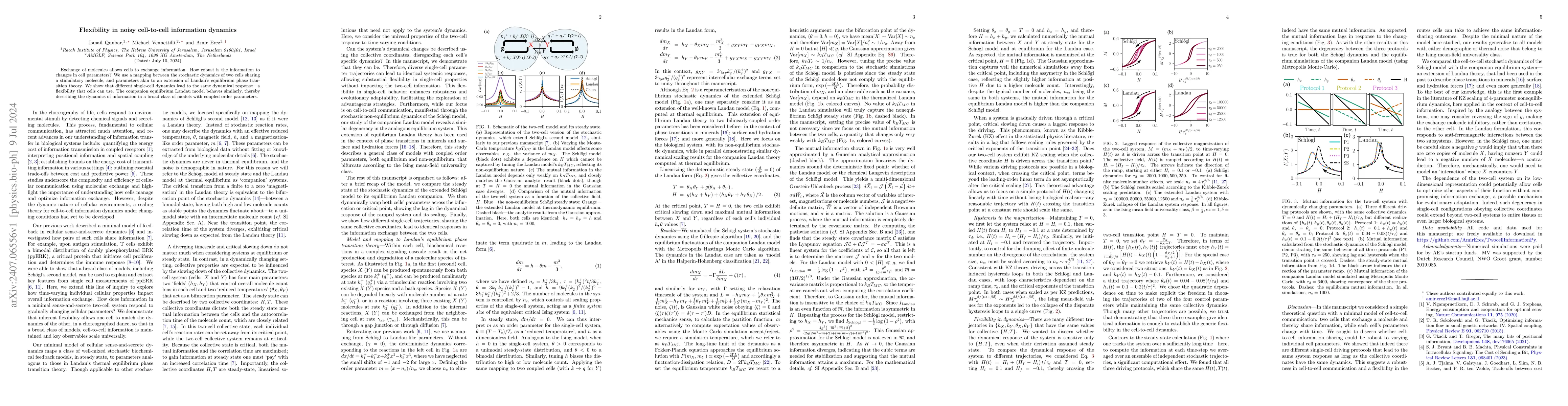 Thumbnail for Flexibility in noisy cell-to-cell information dynamics