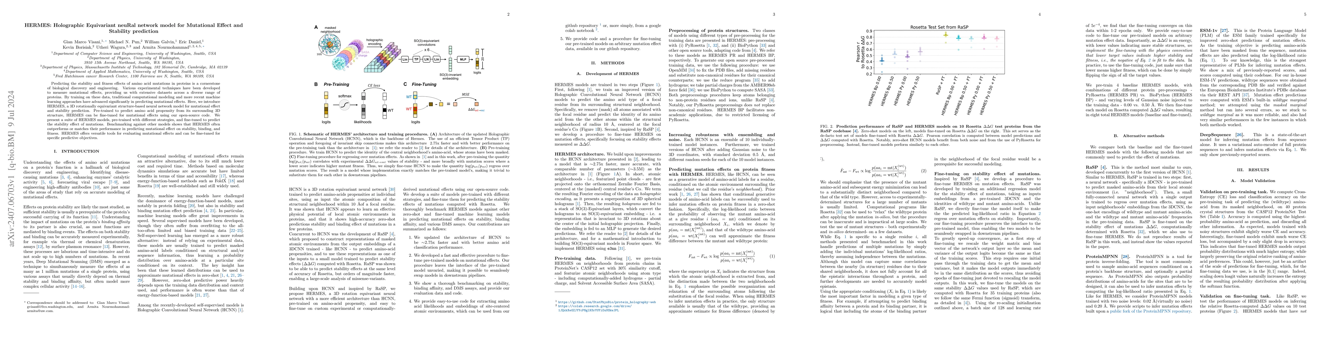 Thumbnail for HERMES: Holographic Equivariant neuRal network model for Mutational
  Effect and Stability prediction