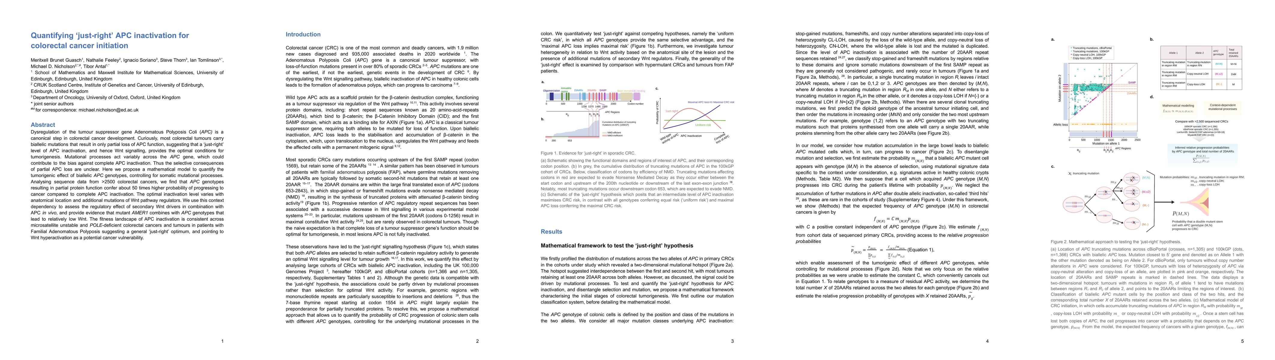 Thumbnail for Quantifying "just-right" APC inactivation for colorectal cancer
  initiation