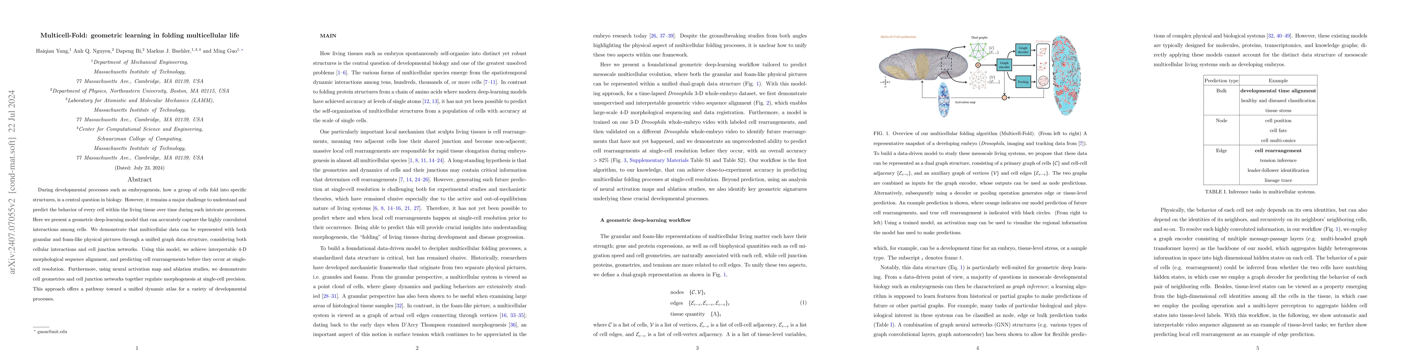 Thumbnail for Multicell-Fold: geometric learning in folding multicellular life