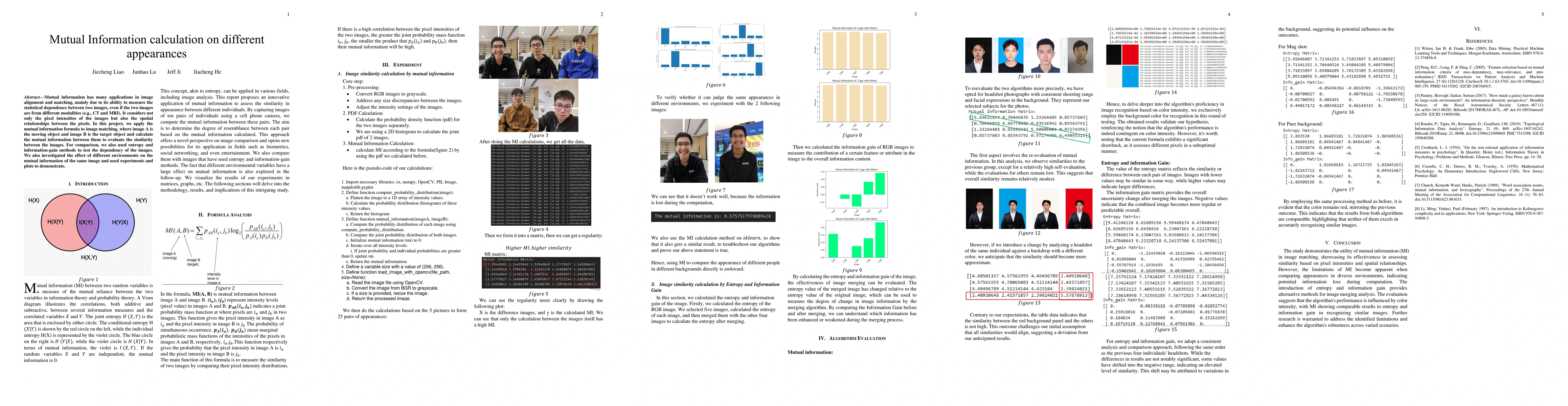 Thumbnail for Mutual Information calculation on different appearances