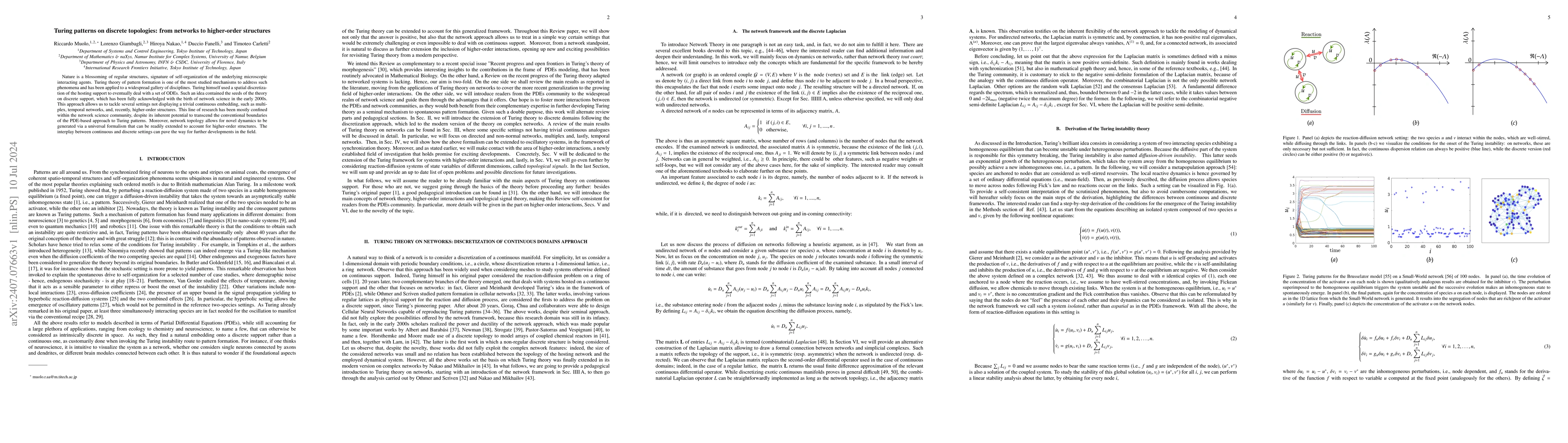 Thumbnail for Turing patterns on discrete topologies: from networks to higher-order
  structures