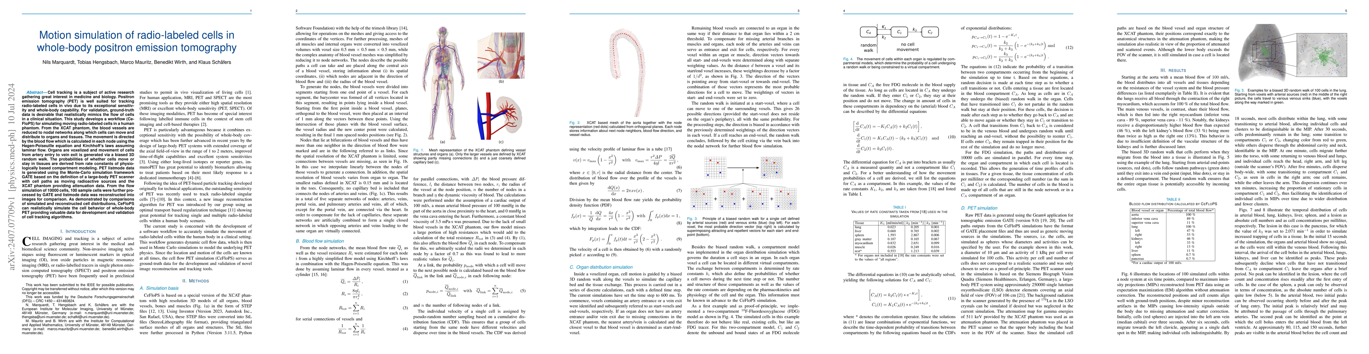 Thumbnail for Motion simulation of radio-labeled cells in whole-body positron emission
  tomography