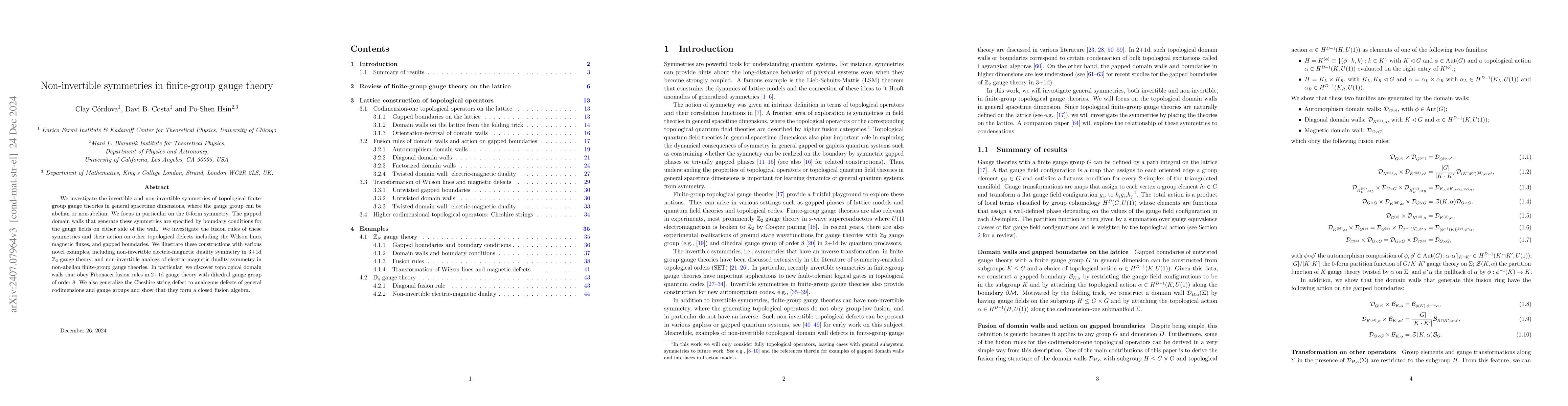 Thumbnail for Non-invertible symmetries in finite group gauge theory