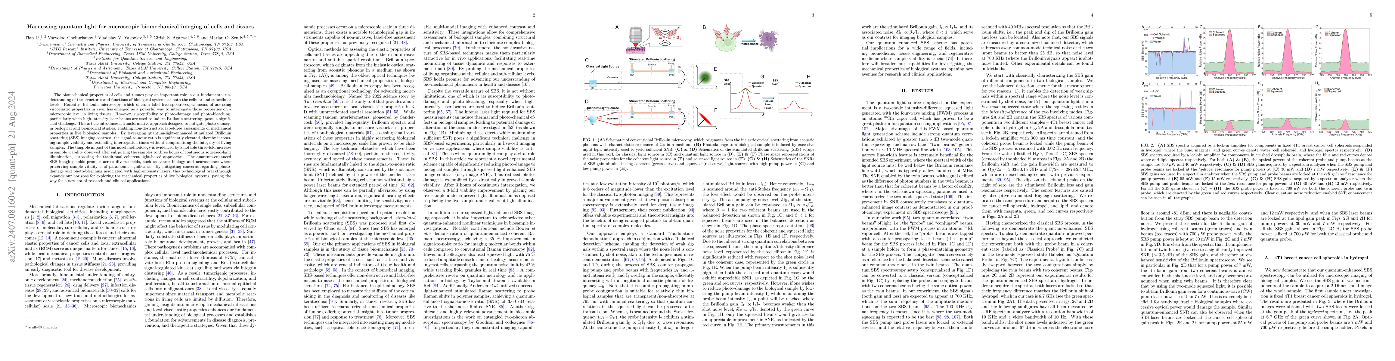 Thumbnail for Harnessing quantum light for microscopic biomechanical imaging of cells
  and tissues