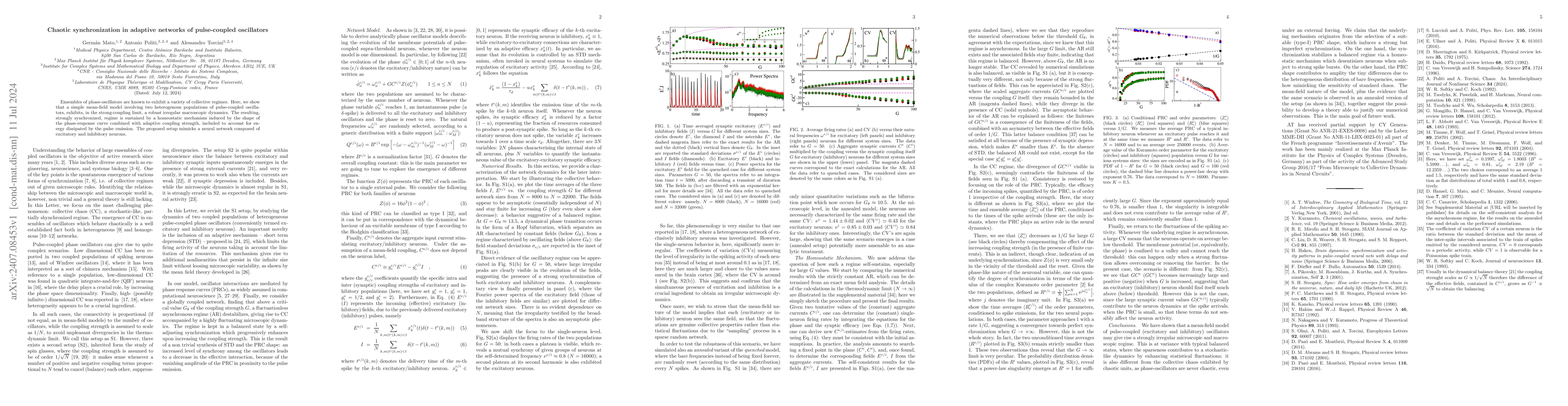 Thumbnail for Chaotic synchronization in adaptive networks of pulse-coupled
  oscillators