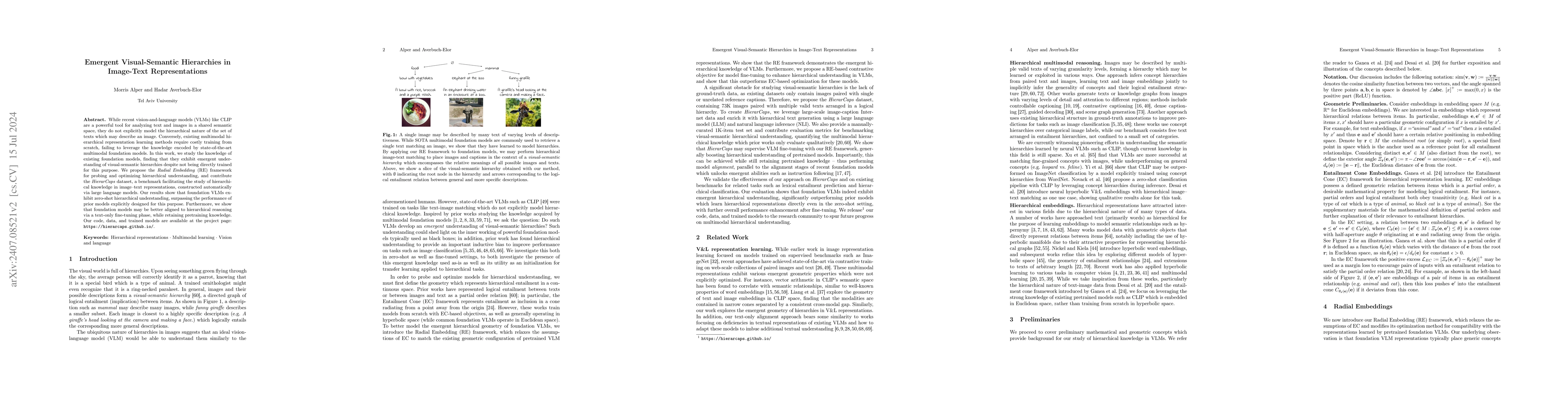 Thumbnail for Emergent Visual-Semantic Hierarchies in Image-Text Representations