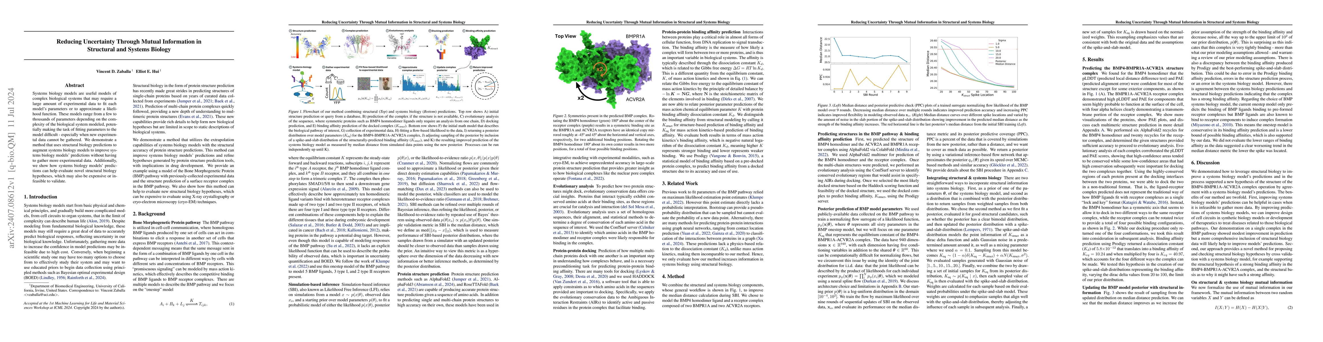 Thumbnail for Reducing Uncertainty Through Mutual Information in Structural and
  Systems Biology