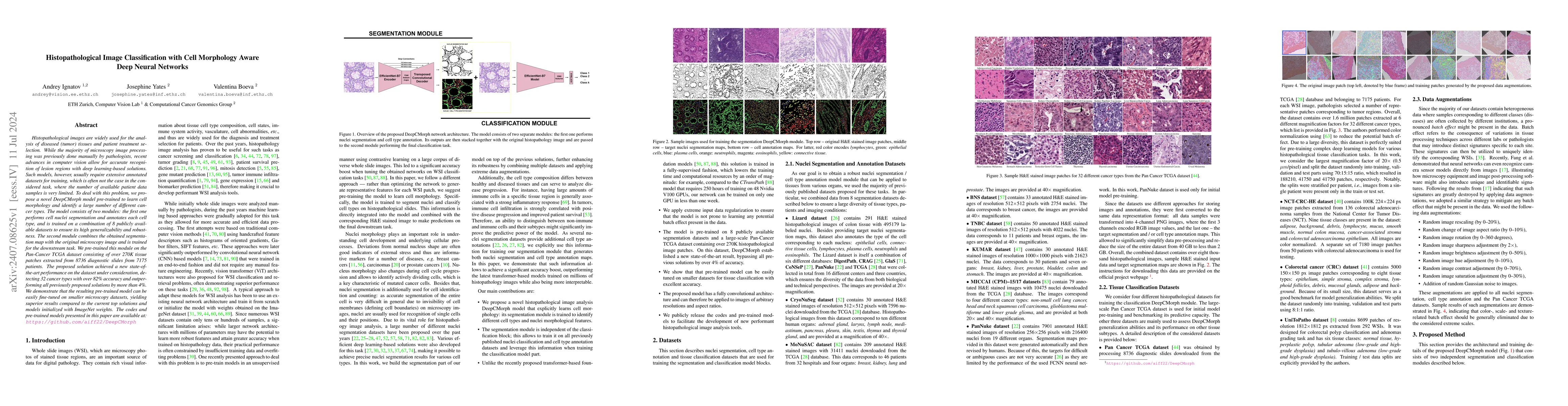 Thumbnail for Histopathological Image Classification with Cell Morphology Aware Deep
  Neural Networks