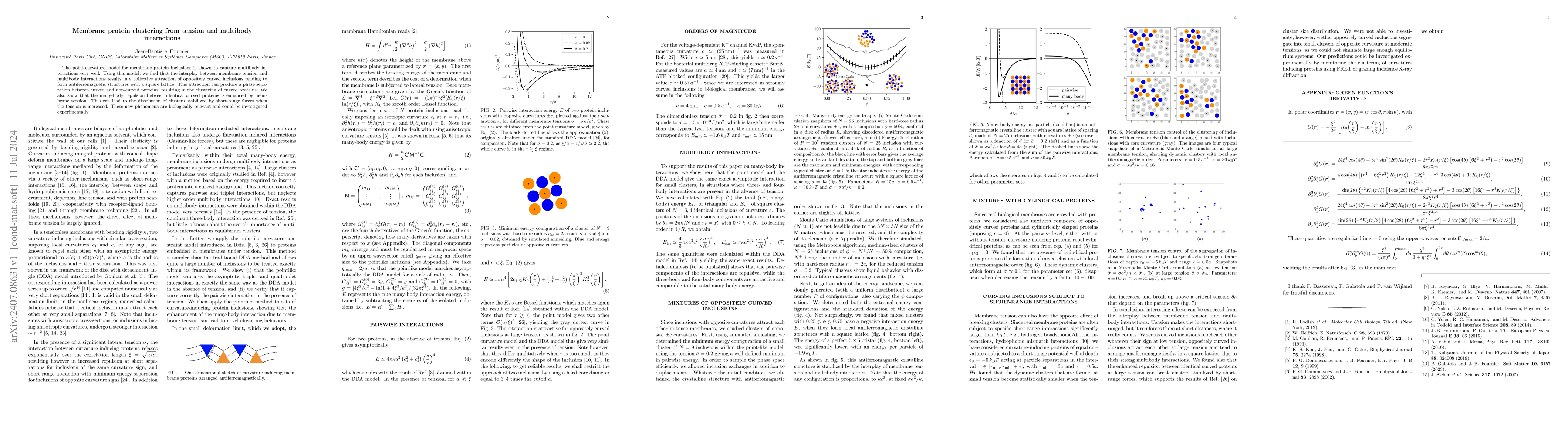 Thumbnail for Membrane protein clustering from tension and multibody interactions