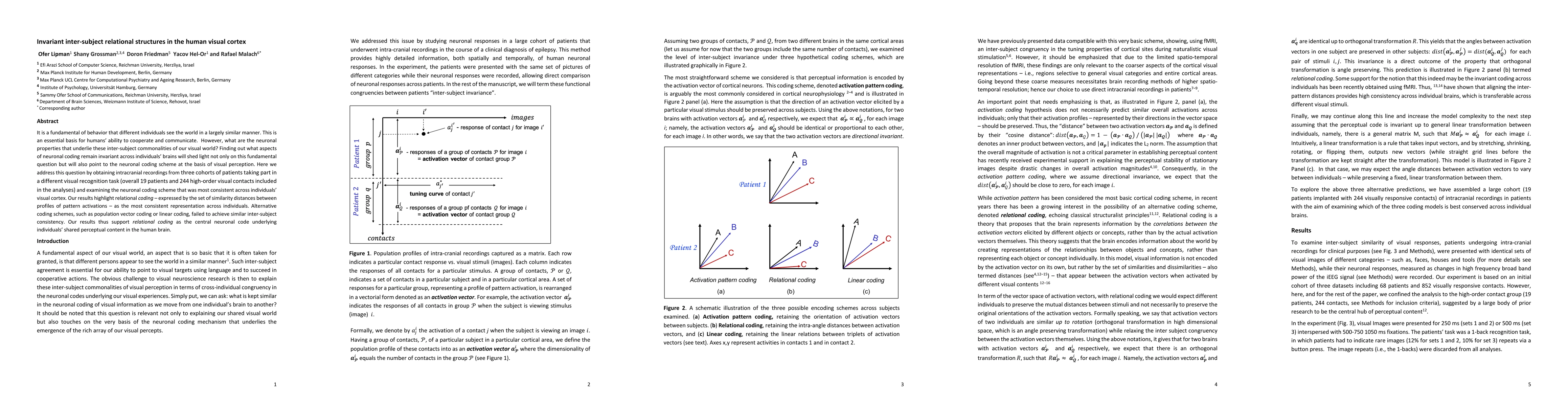 Thumbnail for Invariant inter-subject relational structures in the human visual cortex