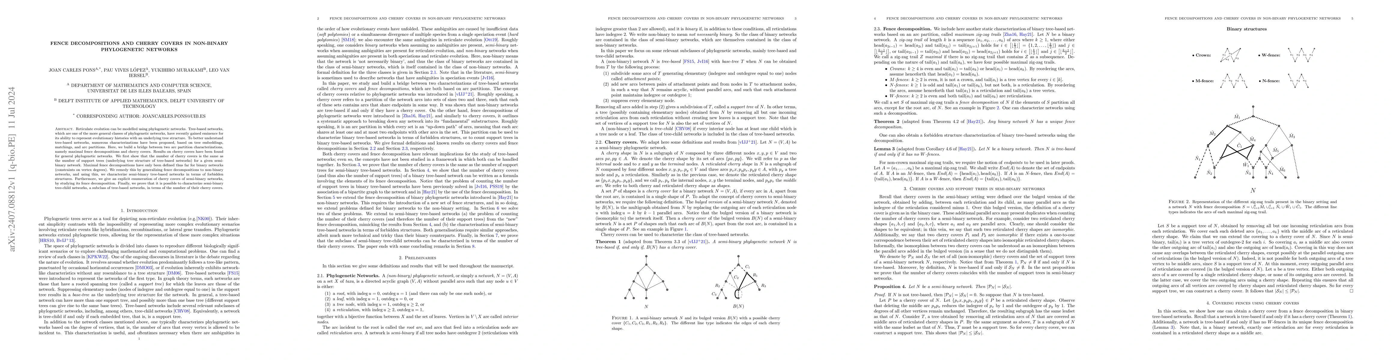 Thumbnail for Fence decompositions and cherry covers in non-binary phylogenetic
  networks