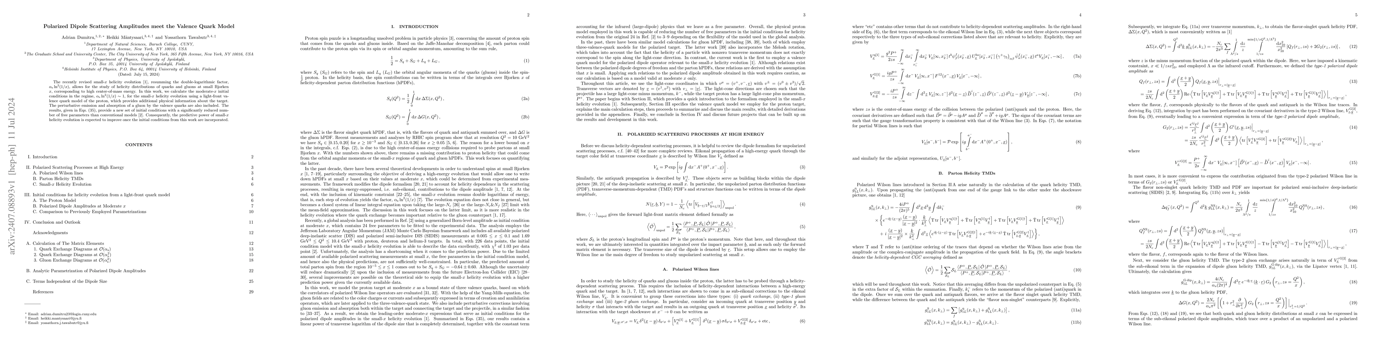 Thumbnail for Polarized Dipole Scattering Amplitudes meet the Valence Quark Model