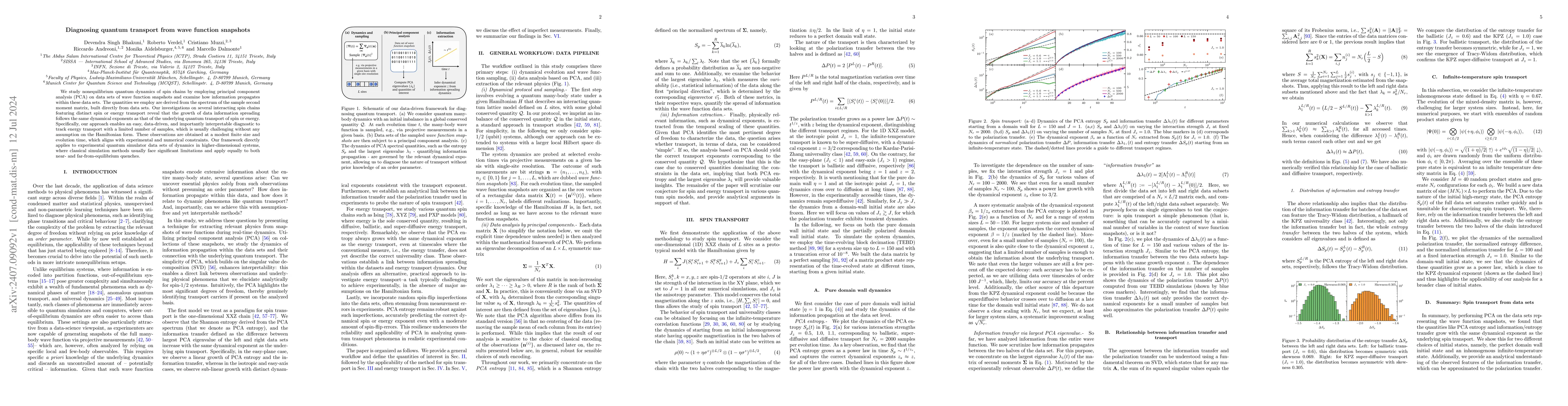 Thumbnail for Diagnosing quantum transport from wave function snapshots