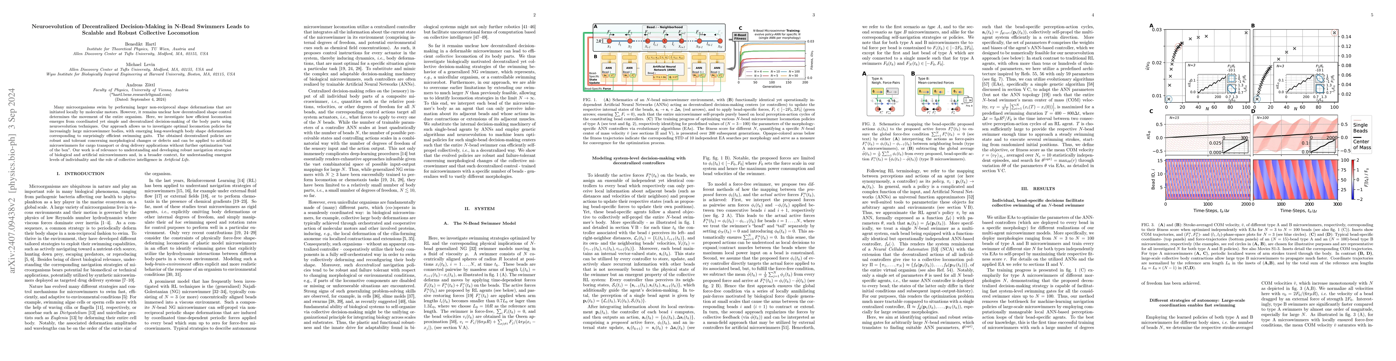 Thumbnail for Neuroevolution of Decentralized Decision-Making in N-Bead Swimmers Leads
  to Scalable and Robust Collective Locomotion