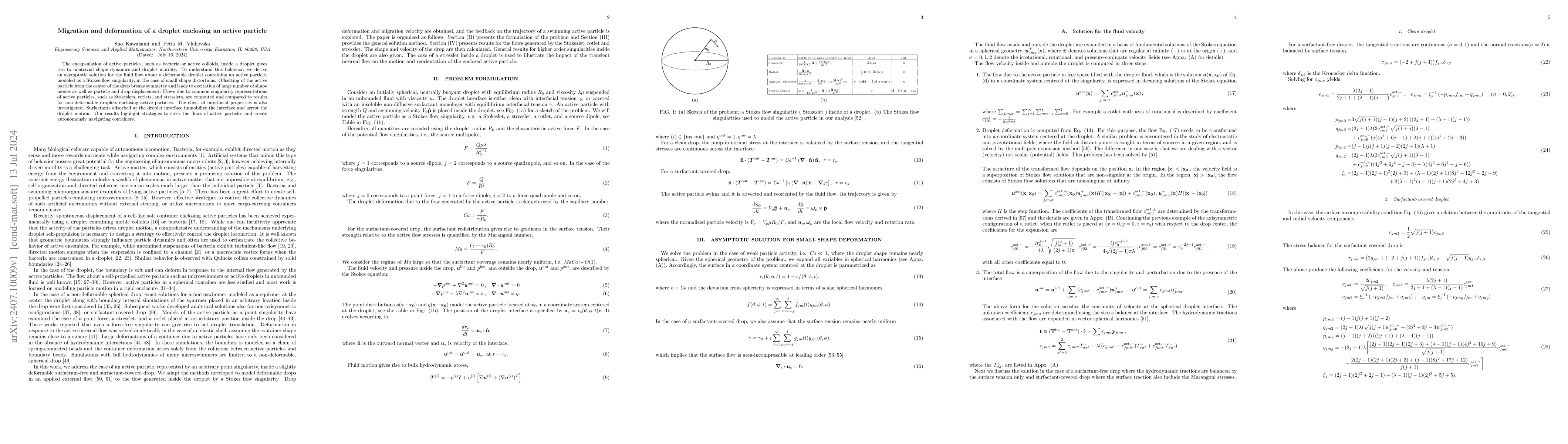 Thumbnail for Migration and deformation of a droplet enclosing an active particle