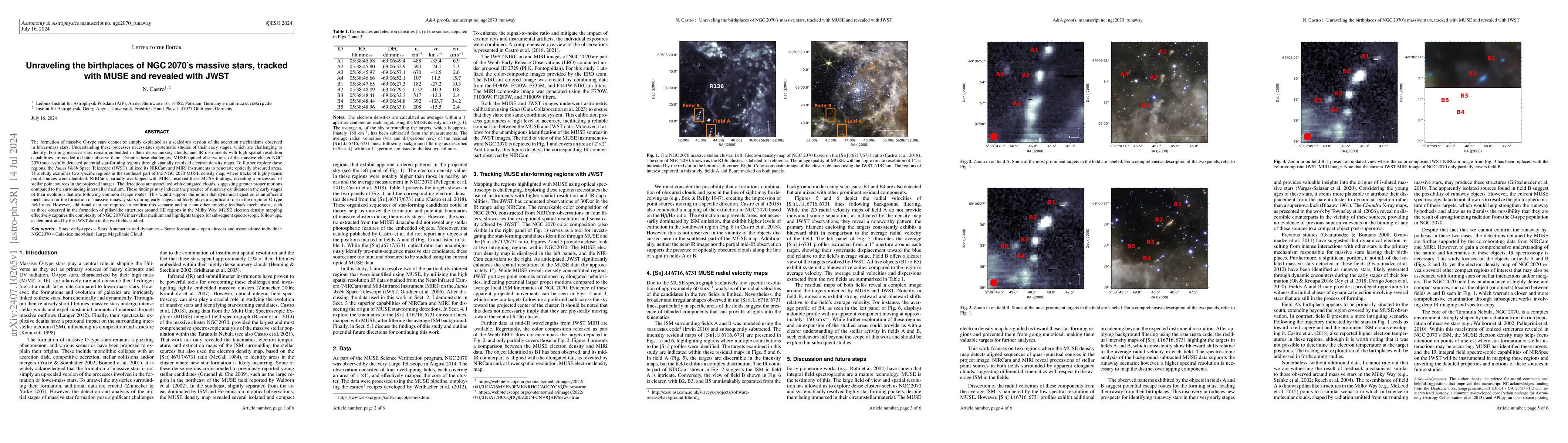 Thumbnail for Unraveling the birthplaces of NGC2070's massive stars, tracked with MUSE
  and revealed with JWST