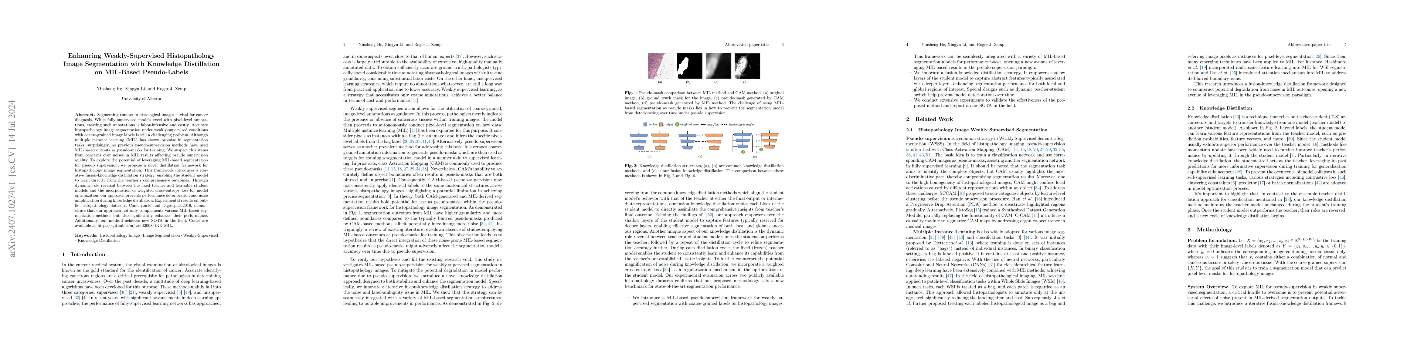 Thumbnail for Enhancing Weakly-Supervised Histopathology Image Segmentation with
  Knowledge Distillation on MIL-Based Pseudo-Labels